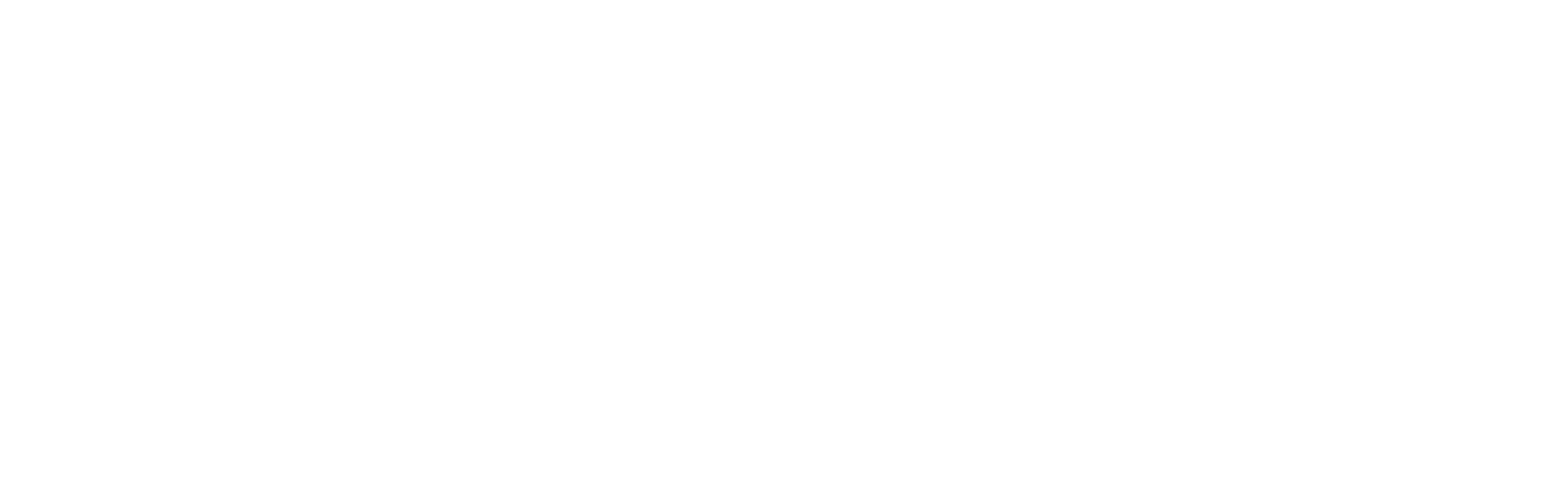 Official Stereopsia conference logo